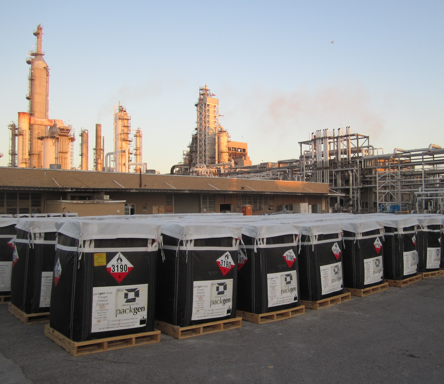 Cougars Filled - PackGen